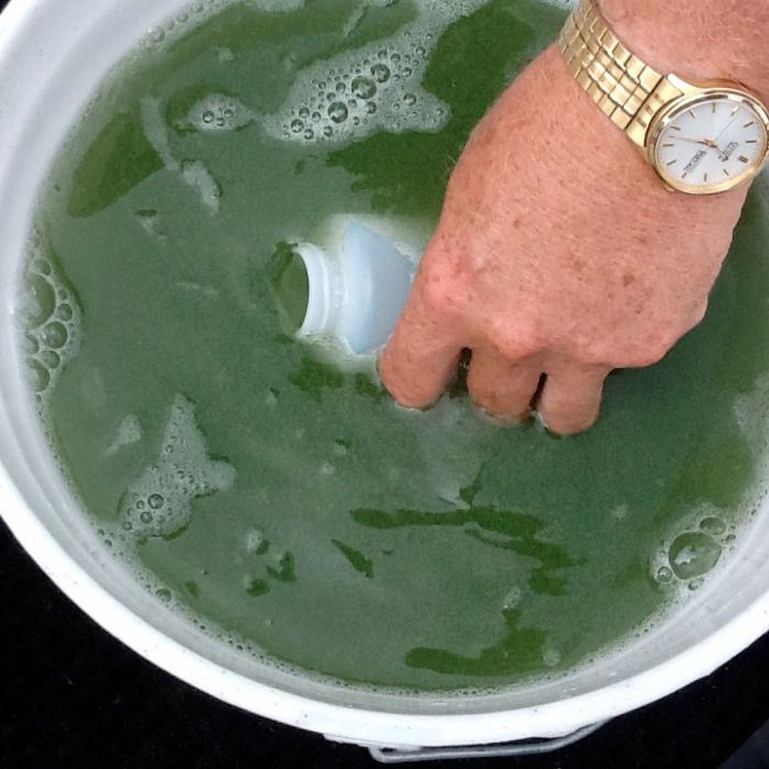 algae bucket