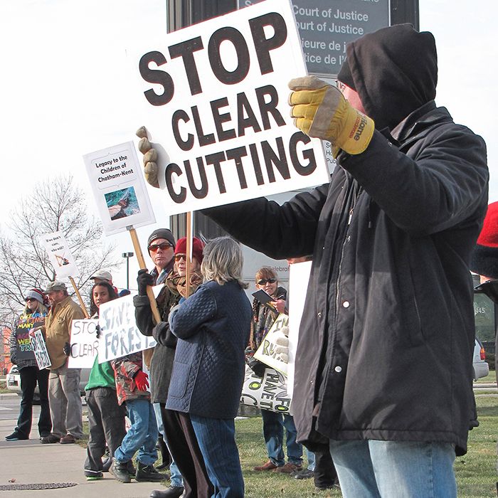People in favour of a woodlot management bylaw for Chatham-Kent encouraged others to support their cause at a rally held Saturday near the courthouse in Chatham.