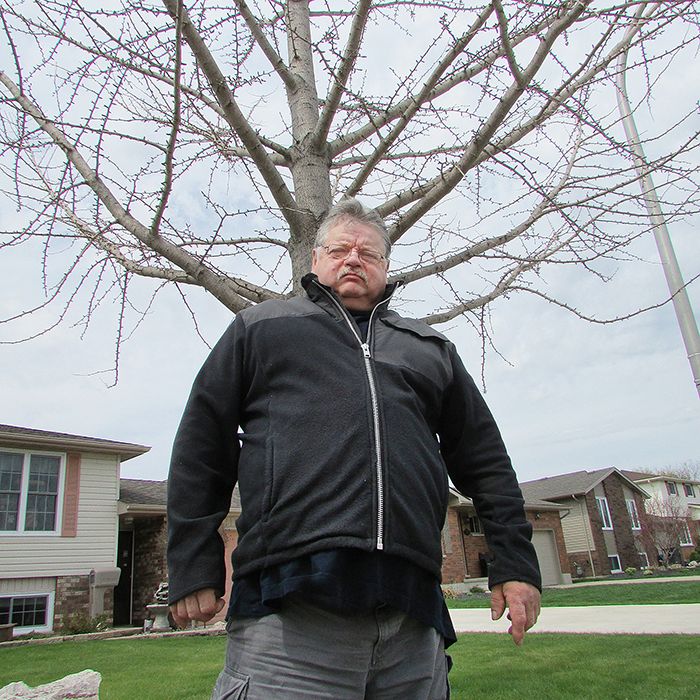 Don DeBaene is shown in front of his home on Viscount Road in Chatham with a female ginkgo tree behind him. Each fall, the tree drops fruit that can give off a terrible odour if left to rot, and DeBaene and his wife want that tree removed.