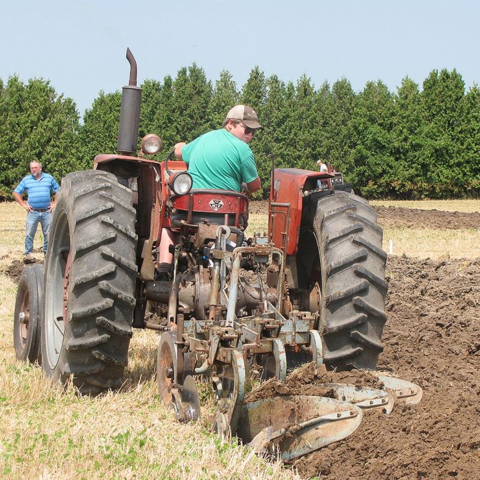 Aidan Carnegie of Ridgetown looks back at his plot while competing at the 78th annual Chatham-Kent Plowing Match