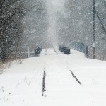 Rail line a gamble