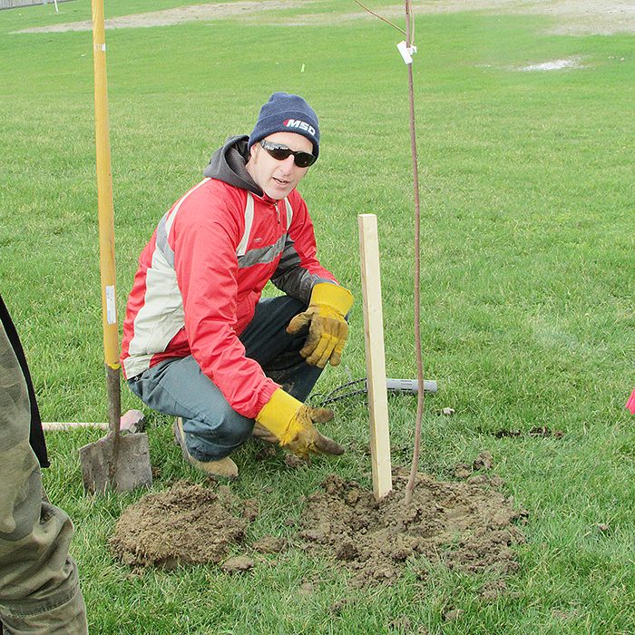 Greg Van Every of the Lower Thames Valley Conservation Area, shows students how to plant a tree, explaining the depth of the hole must be just right, as you don’t want to expose the root structure or bury the stem of the tree.