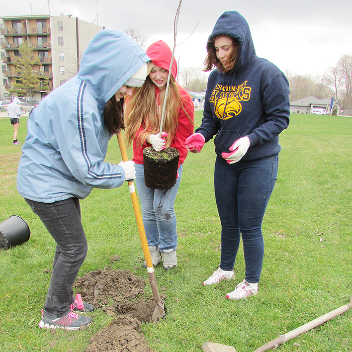From left, Chatham-Kent Secondary School students Rebekah Thompson, Chloe Aitken-Botting and Abby Shaw plant a tree on municipal property near the Chatham Water Treatment Plant on Earth Day.