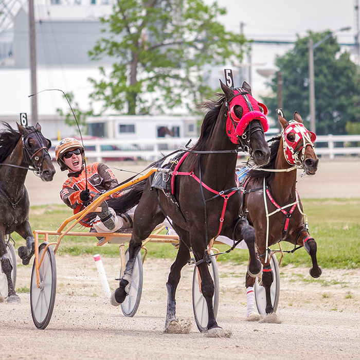 The excitement of harness racing returned to Dresden Raceway Sunday as more than 800 fans turned out for the nine race program. There will be racing each Sunday through the Civic Holiday weekend with a special Canada Day race as well. (Nathan Vercauteren/Special to the Chatham Voice)