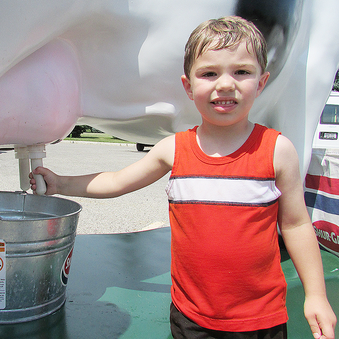 Noah Hamel, 3, tries his hand at milking a cow at the Children’s Respite Carnival held July 29 by Community Living Chatham-Kent. Hamel, and many other kids, had help from Melissa Jansen with the Essex-Kent Milk Producers. As for the cow, it was a life-sized replica that dispensed water.
