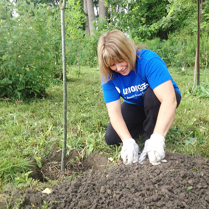 Lori Charron plants a tree in Wallaceburg’s Paw Paw Woods, as part of Union Gas’ Helping Hands in Action recently.