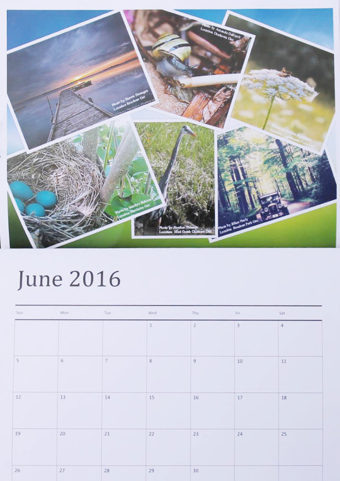 The Chatham-Kent Through Our Lenses group has put together a 2016 calendar that is for sale until Oct. 17.