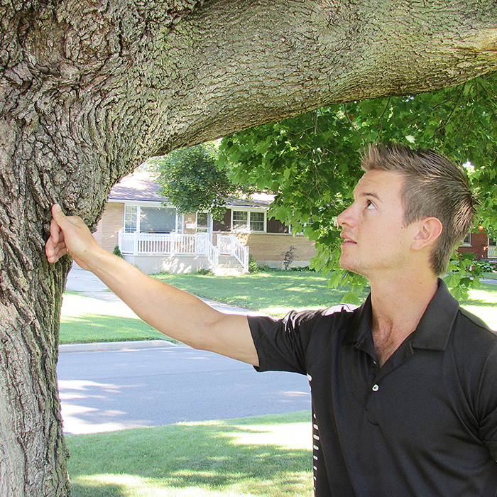 Darin Willder checks out the health of an 80-year-old maple tree at a home in south Chatham. Willder’s new company, Precision Tree Service, aims to help tree health through proper maintenance.