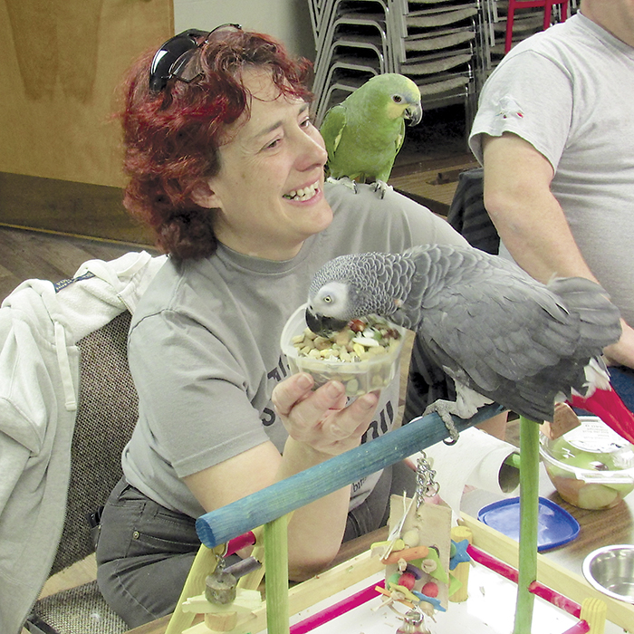 Kelly Rodie of Windsor shares a smile while her African Gray, Rosie, enjoys a snack during a recent meeting of the Chatham-Kent Parrot Club. Rosie is 21 and could live for another 40 years or more.