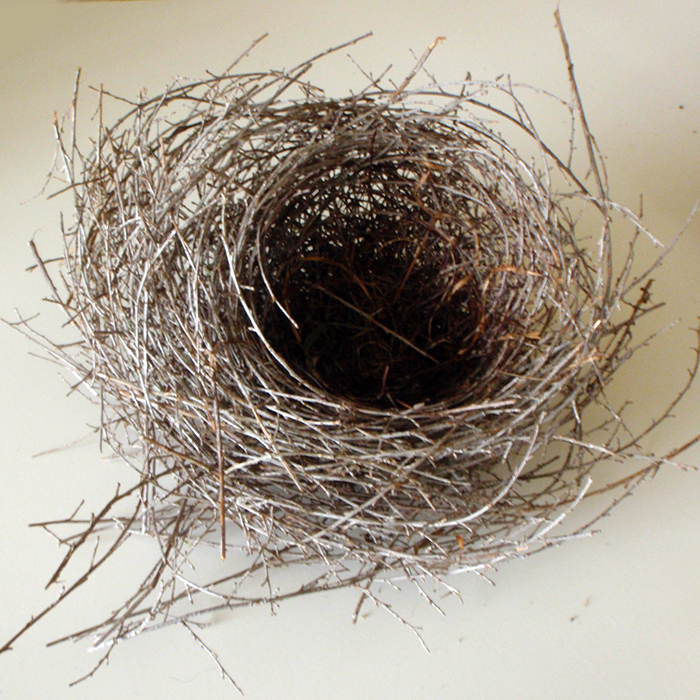 empty-nest