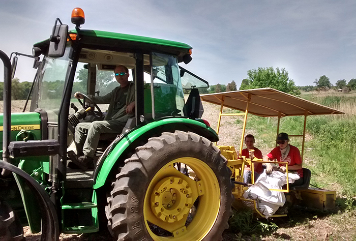 Greg Van Every, environmental project co-ordinator with the Lower Thames Valley Conservation Authority, drives a tractor while students Brandon and Jennifer plant Jack Pines.