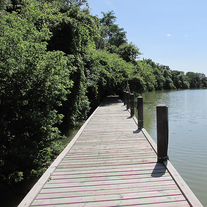 Work to reduce erosion on this section of the Thames riverbank will begin in September at a cost of just under $1 million.