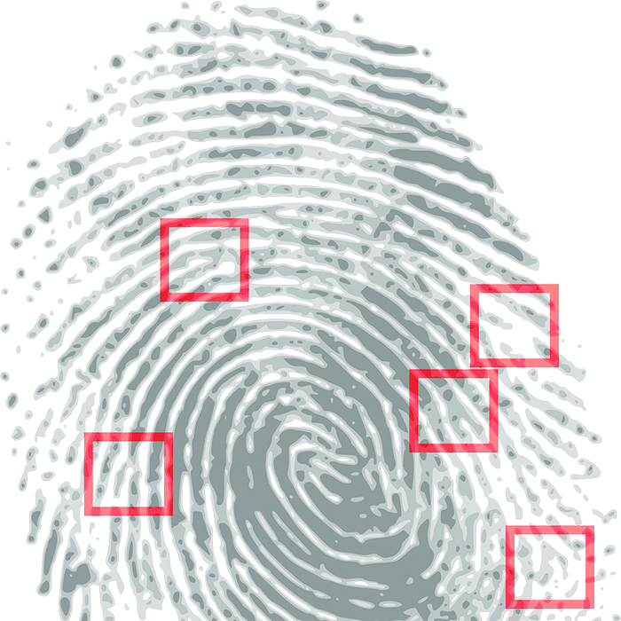 fingerprint