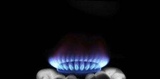 Waste-to-energy partnership approved