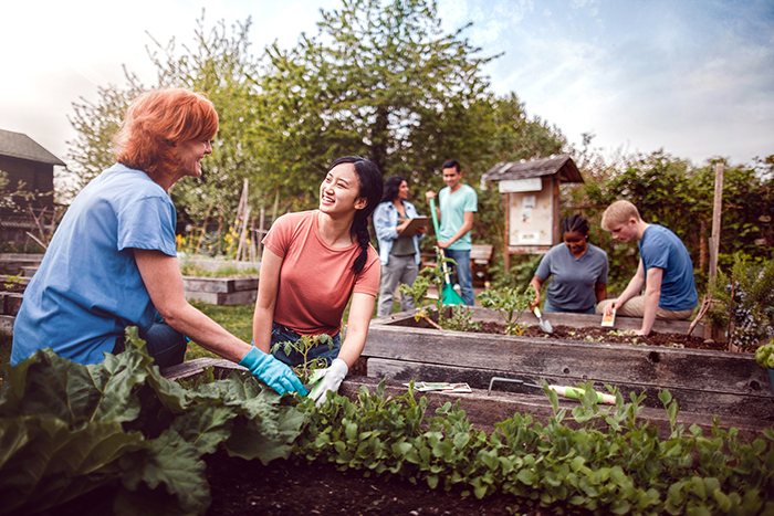 Community garden launches in Thamesville