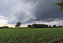 Summer storms