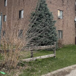 OPINION: C-K abandons these tenants