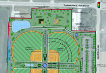 Council plays catch with new ball diamond concept