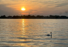 The sun sets on summer