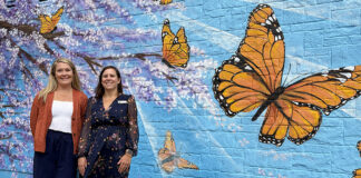 Vibrant mural showcased at C-K Hospice